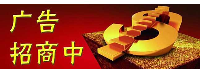 see seek 搜索引擎